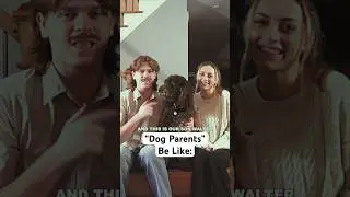 &laquo;Родители собак&raquo; такие: