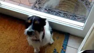 Der verliebte Sammy....bitte Ton voll auf !!