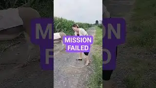 Mission failed successfully... #short #comedy #funnyvideo #laughter #donkey