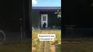 Моя соседка#юмор