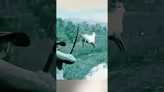 RDR2 Funny Glitch 😂 | Best Open World Game Ever!