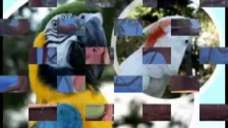 Sigla ZooMarine