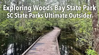 Exploring Woods Bay State Park - Carolina Bay Swamps - South Carolina State Parks