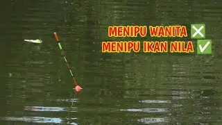 TRIK MANCING MENIPU IKAN NILA BABON !!! UMPAN STYROFOAM #fishing #mancinglobangikannila  #mancing