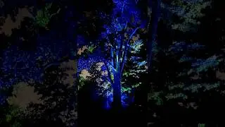 Amazing Light Show at the Gardens of Light in Montreal Botanical Garden #botanicalgarden #lightshow