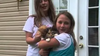 Cat Mom Hugs Baby Kitten   She Did Not Want To Let Go   Cute Video | Baby kitten