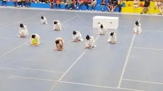 PDLAI'S MUSIC CHAMPIONSHIP 2019