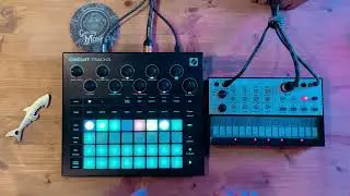 Finally married synth samples with vocals: live tender vibes