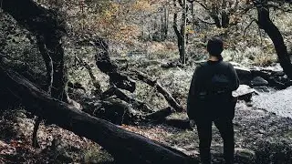 Solo Hike & Lunch In The Forest // Waterfalls // Slow Living // Silent Vlog