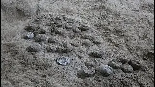 85 Million Year Old Dinosaur Eggs Rewrite Cretaceous History! 🦖