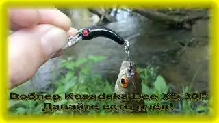 FishComm Shop: Воблер Kosadaka Bee XS 30F. Давайте есть пчёл!
