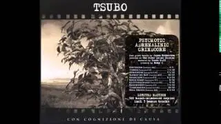 Tsubo - Con Cognizione Di Causa (Full Album 2012)