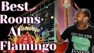 Planning To Stay At Flamingo Las Vegas? Choose These Rooms.....