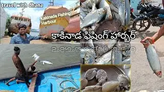 best places in kakinada fishing harbour||kakinada fishing harbou#vikramvihari #naanveshana #kakinada