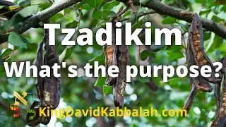 36 Hidden and 36 revealed Tzadikim , the number72 Question and Answers series What is there purpose?