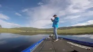 Kamikaze Lures - Cressbrook Dam 2021