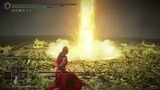 Radagon of the Golden Order/No Hit/Martial Arts - Elden Ring Shadow of the Erdtree