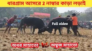 ধারগ্রাম আসরে 2 নাম্বার কাড়া লড়াই | dhargram asore 2 number kara lodai | subhendu purulia