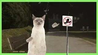 нет скейтбординга