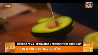 💵 El precio de la palta por las nubes I A24