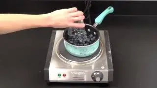 Check for Spotted Wing Drosophila Using the Boiling Method