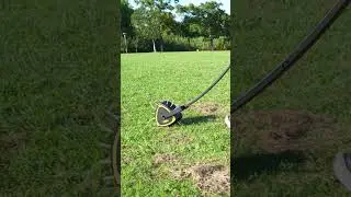 👉 Amazon, just search &ldquo;BlumeTrec&rdquo; #amazing #amazon #lawn #garden #foryou #gardening #tools #fyp #fy