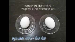 איך מבדילים בין ביצה קשה לביצה רכה?