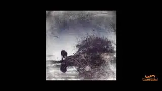 09 CONCERTO FOR PIANO & BIRDS IN Eb MINOR