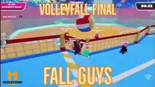 Fall Guys. &bull; Squads Show win with a party of 3. &bull; Volleyfall final. &bull; Teamwork W. &bull; 🚻🚻🏐🎉👑