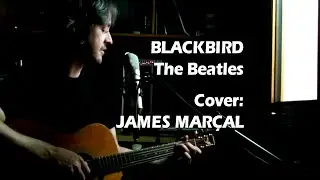 Blackbird (The Beatles) In honor of Paul McCartney's birthday (June 18)  - Cover by James Mar&ccedil;al