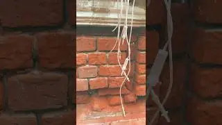 Заброшенная больница 19 века #russia #travel #horror #trip
