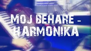 Moj behare - HARMONIKA