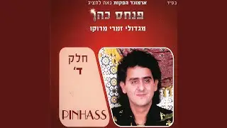 איילה שוולת עלייה