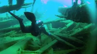 Tobermory Diving Highlights 2012