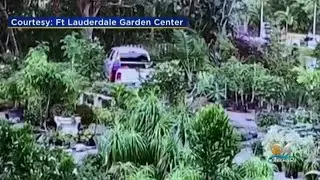 Victim, Driver Identified In Wilton Manors Fatal Crash