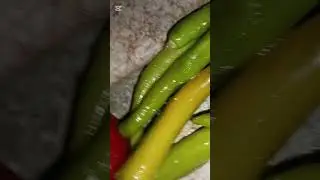 الترند إلى قالب الدنيا 