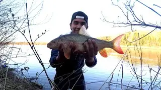 Red horse sucker! (NSR Edmonton) Fishing