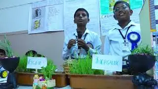 Std 6 - Science Exhibition Project | S 61 ORGANIC AND INORGANIC FARMING 6