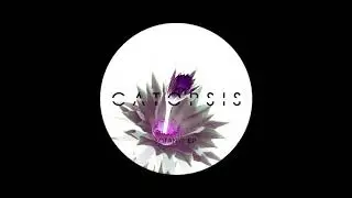 Catopsis - Illicit Groove