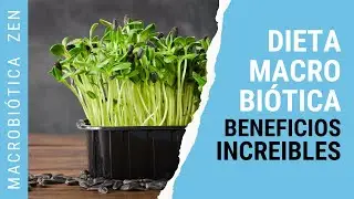 NUTRICI&Oacute;N Macrobi&oacute;tica🌱 5 BENEFICIOS Para Vida HOL&Iacute;STICA