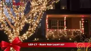 HLS 2532 LED Ruby Red C7 Christmas String Light - 25 Bulbs