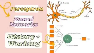 What are Neural Networks ? History and Working of Neural Networks , in Urdu / Hindi