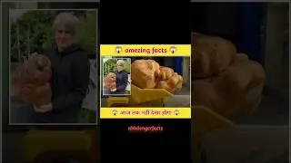 😱 popeto fact trending 😱#interestingfacts #amazingfacts #short #viralvideo #newfacts #short #facts