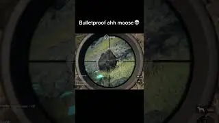 #HunterCallOfTheWild #HuntingGame #VirtualHunting #GamingMoments #WildlifeAdventure