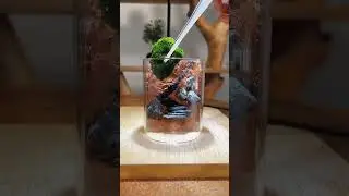 Микс из лэнд-арта и инсталляции