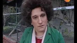Not&iacute;cias em Segunda M&atilde;o - Maria In&aacute;cia (C&oacute;c&oacute;s dos c&atilde;es...o macaco Hulk)