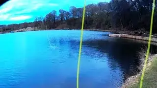 Knitsley Mill  - Quest for a Sparctic Trout
