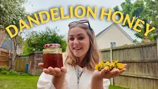 Backyard Foraging: Make Wildflower Syrup & Herbal Hot Honey | Easy Spring Recipes