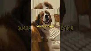 🛑Собака по имени Бэйли #кино #king #фильм #моменты #film