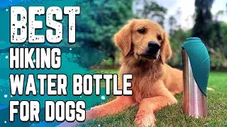 ✅ Best Hiking Water Bottle for Dogs&ndash; Top & Exclusive Products Guide!
